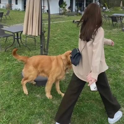 血婚新娘